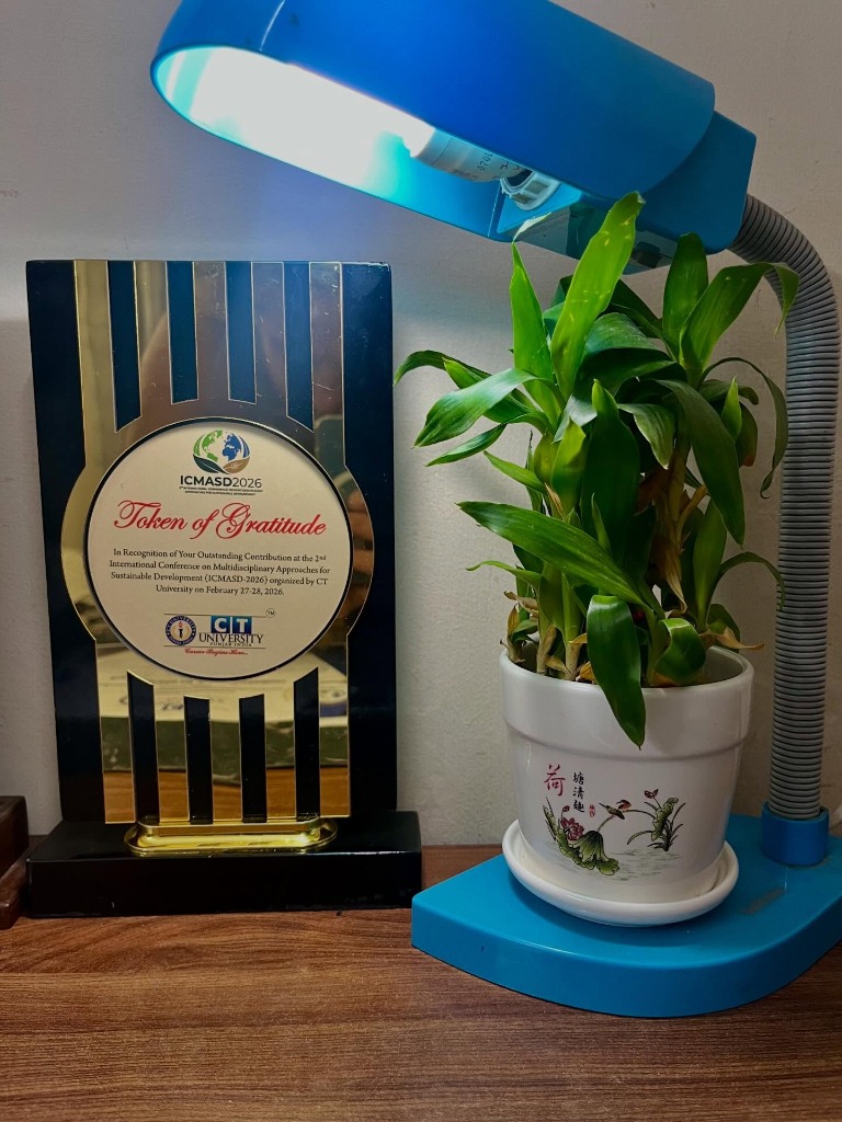 Token of Gratitude Award